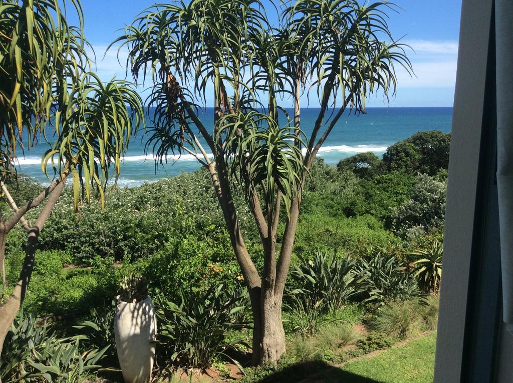 Misty Blue Bed And Breakfast Durban Ruang foto