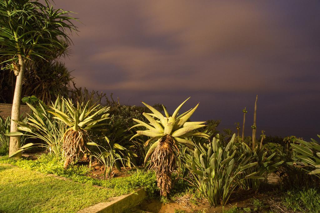 Misty Blue Bed And Breakfast Durban Bagian luar foto